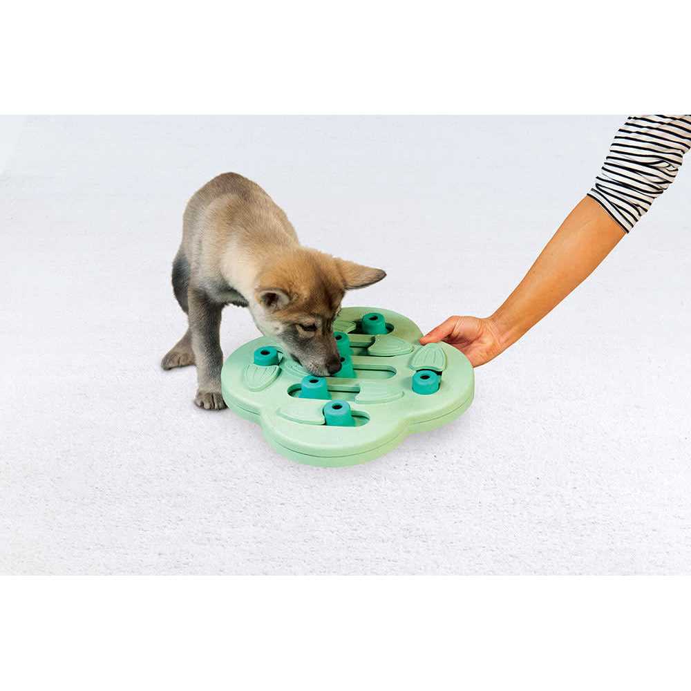 Interactive Treat Puzzle Dog Toy C107