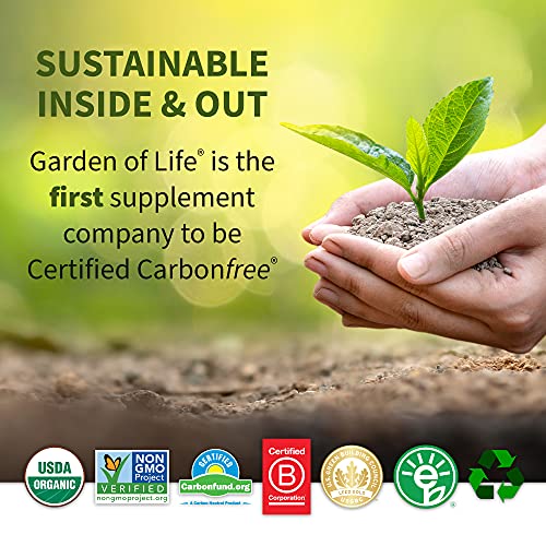 Vanilla Collagen Protein Powder, 14 Servings W24917