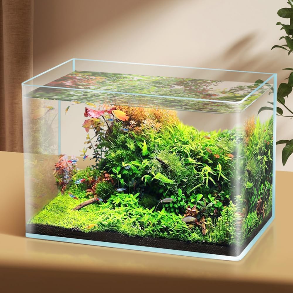 2 Pack Rimless Small Fish Tank F1460