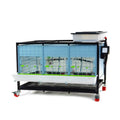 Chick Brooder M529