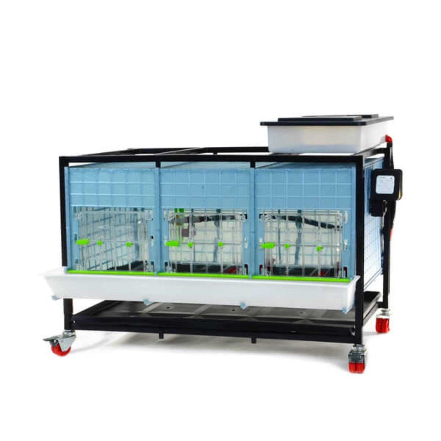 Chick Brooder M529