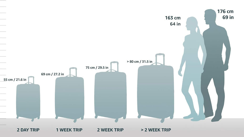 Carbon Hardside Spinner Wheel Luggage, Carry-On 20-Inch N4468
