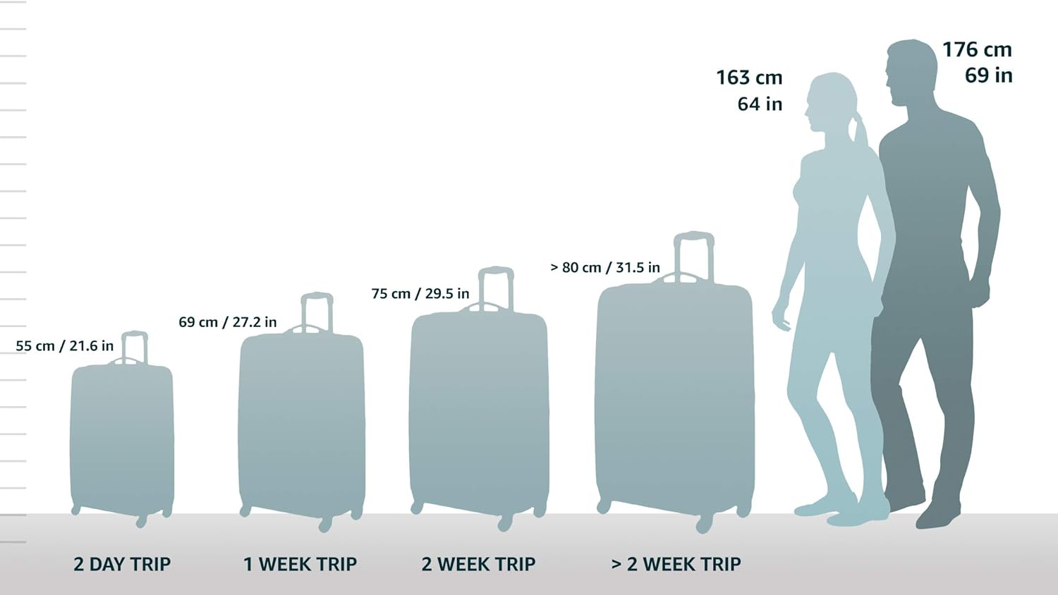 Carbon Hardside Spinner Wheel Luggage, Carry-On 20-Inch N4468