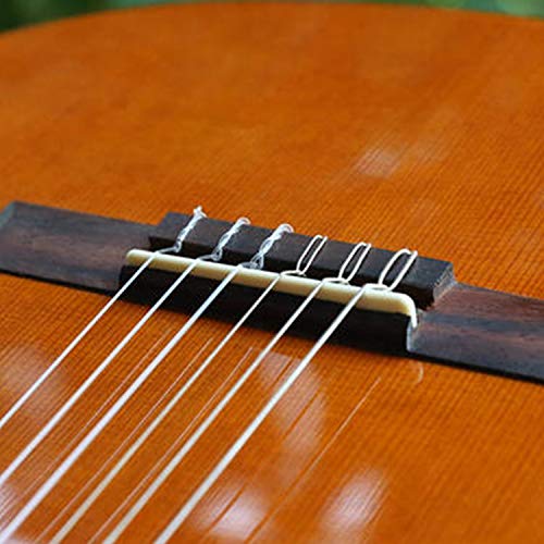 6 String Acoustic Guitar Bone Bridge Saddle and Nut I74214