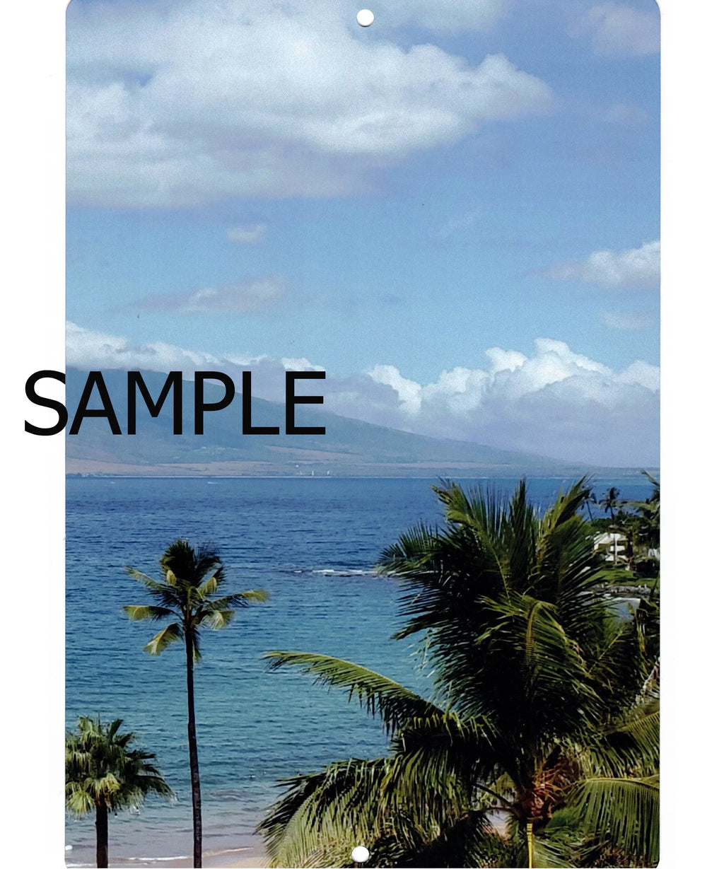 12in x 16in Metal Print E55923