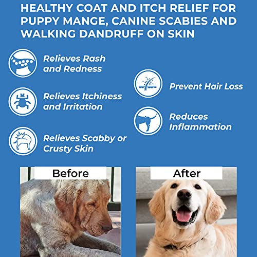All Natural Skin Pills for Dogs X258190