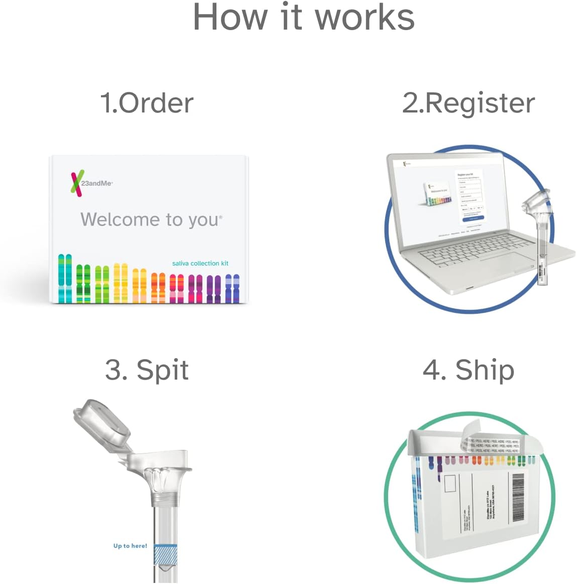 DNA Test Kit with Ancestry Composition and Family Tree E528