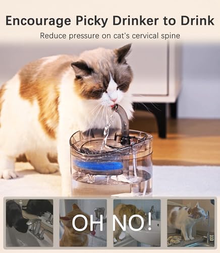 61OZ/1.8L Automatic Pet Drinking Fountain with 2 Filter Replacement and 1 Water Pump M902
