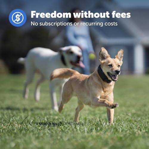 GPS Dog Fence Collar E68202