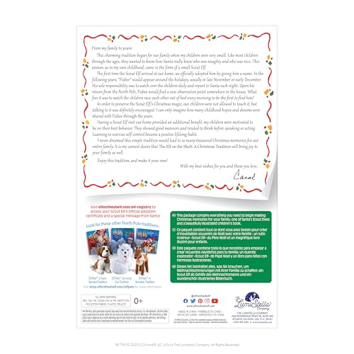 Boy Scout Elf with Blue Eyes Storybook Keepsake Box Adoption Certificate C89638