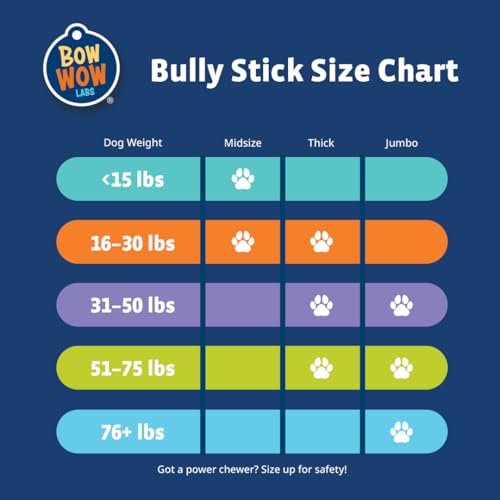 6" 100% Beef Bully Sticks - 10 Pack M20752
