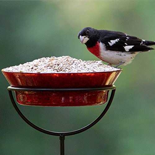 Sunflower Hearts & Chips Wild Bird Food H86738