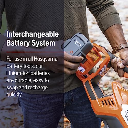Leaf Blower, 200-MPH 800-CFM, 40V Lithium-Ion Battery and Charger Included A800626