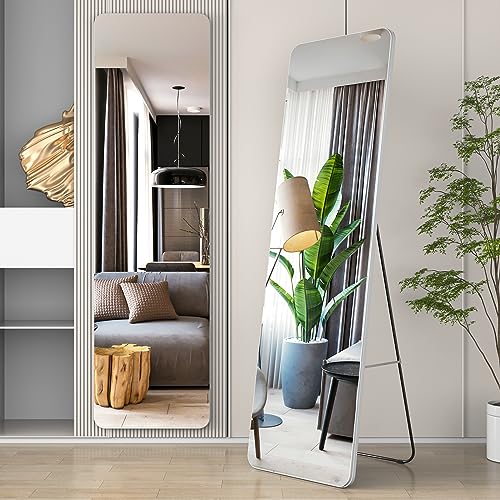 39"x 12" Black Full Length Wall Mounted Mirror L21012