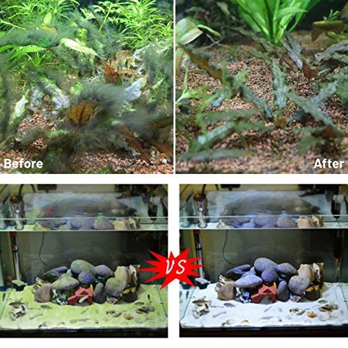 100ml Stain Remover Cleaning Supplies V428