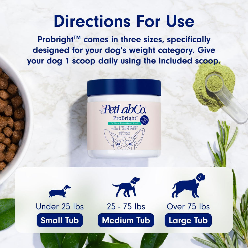 Oral Hygiene & Gut Health Bundle: Dental Powder & Probiotics for Dogs R854752