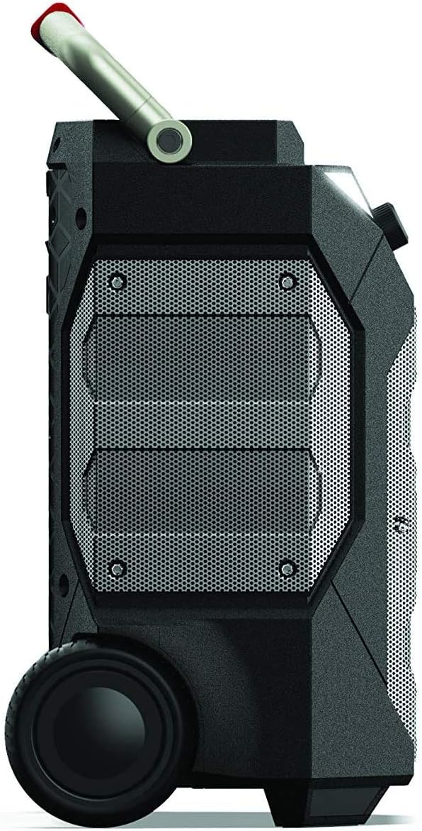 Portable Wireless Speaker, 200 Watts, IPX4 Water Resistant S806