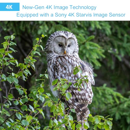 4K 64MP Trail Camera with Night Vision M412