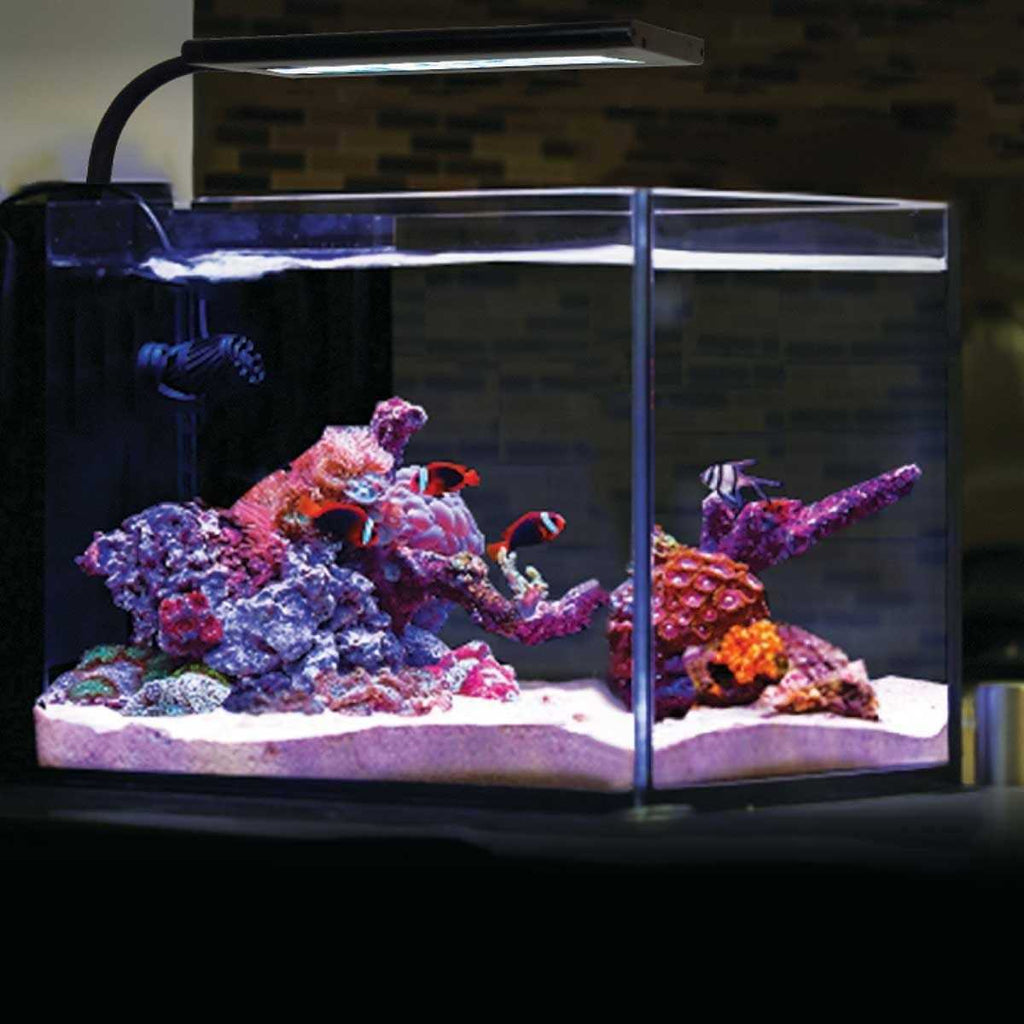 Orbit Marine NANO LED Light with Gooseneck Mount & Dynamic Controller B217