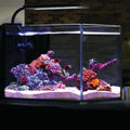 Orbit Marine NANO LED Light with Gooseneck Mount & Dynamic Controller B217