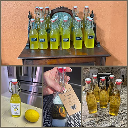 Set of 6 8.5 oz Swing Top Glass Bottles N2196