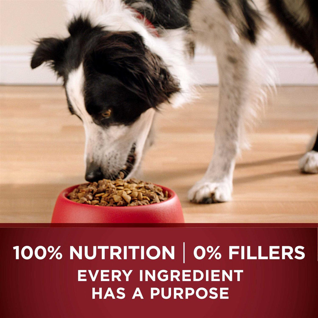 Real Turkey & Venison Dry Dog Food Q772946