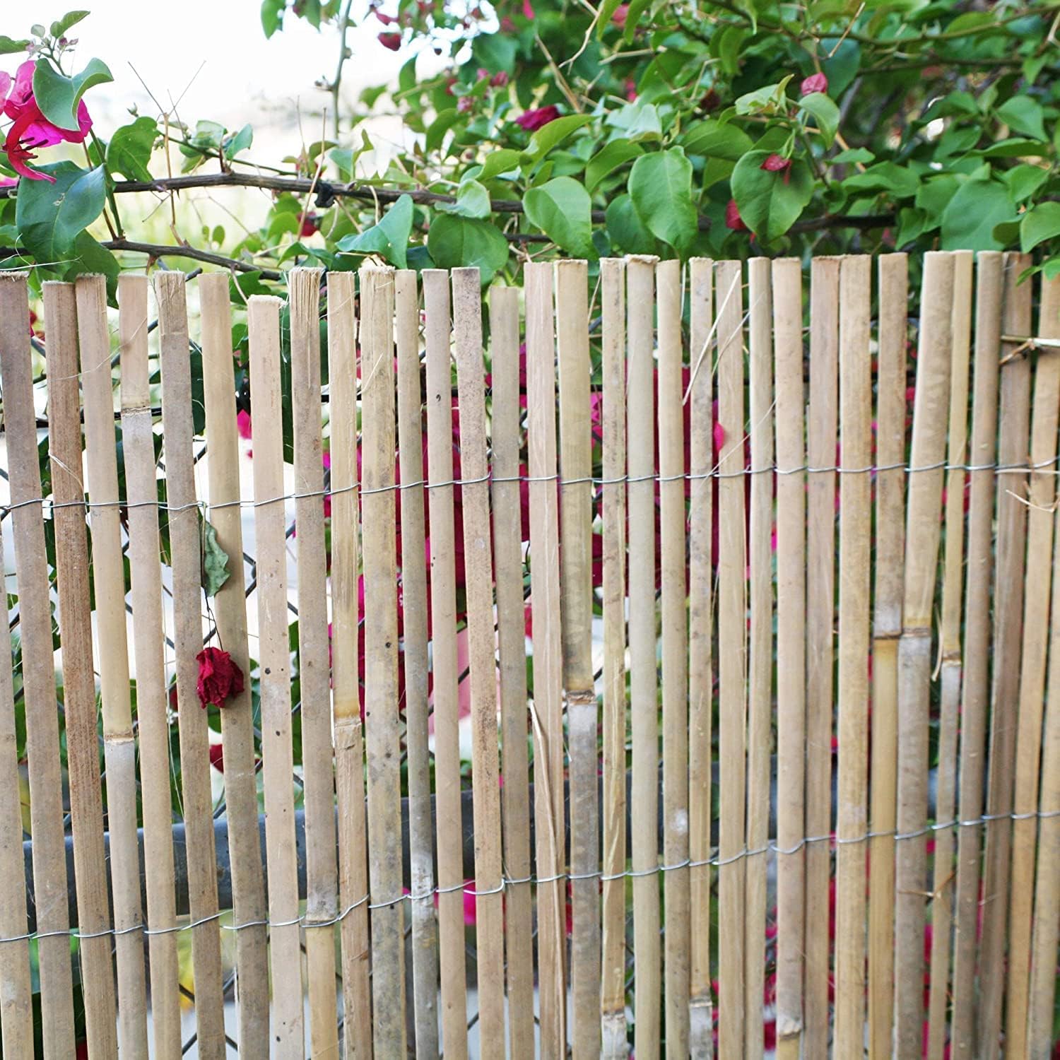 Natural Split Rolled Bamboo Fence Panel 6 ft H x 6 ft L K706904