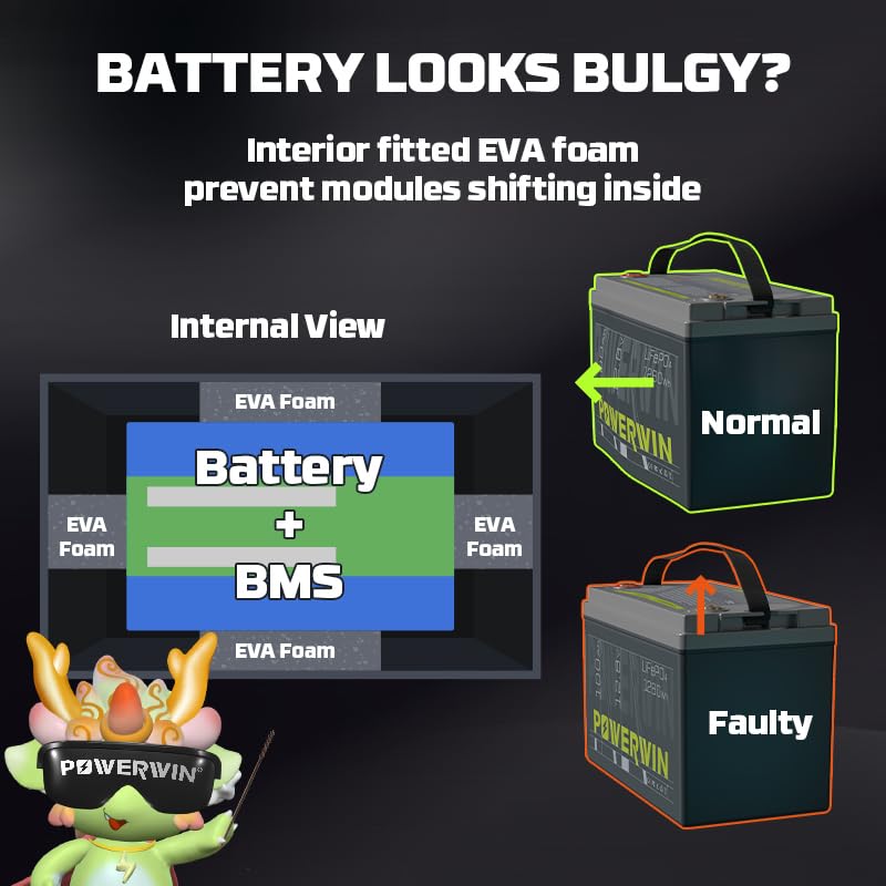 12V 100Ah 1280Wh LiFePO4 Lithium Battery with 100A BMS M880