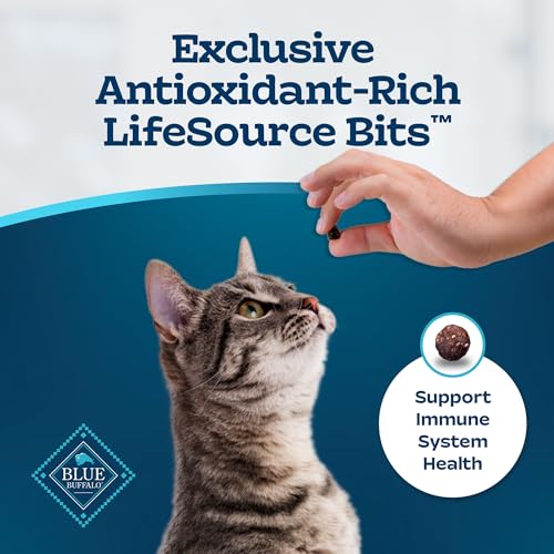 15-lb. Bag Dry Cat Food C286779