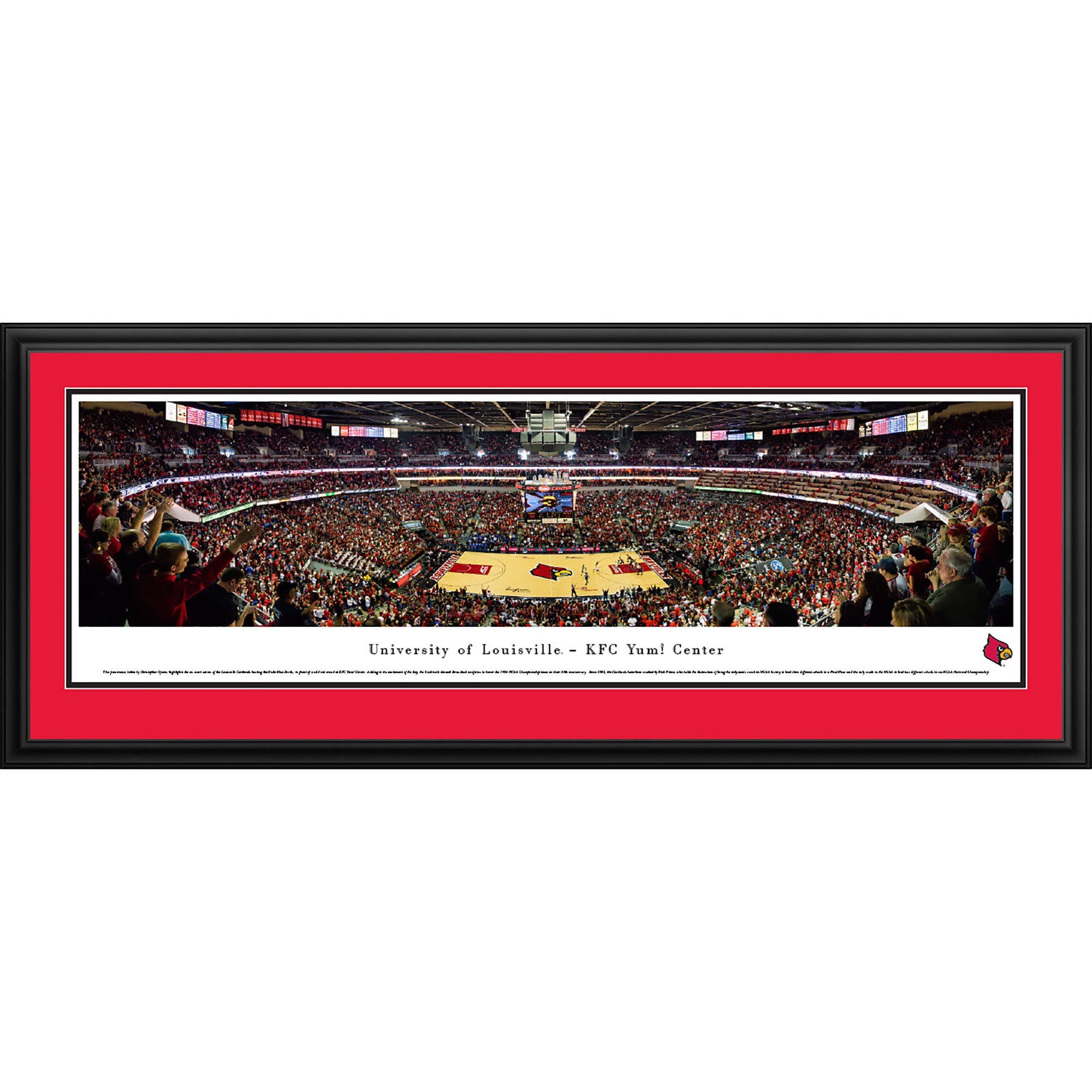 Standard Frame V480844