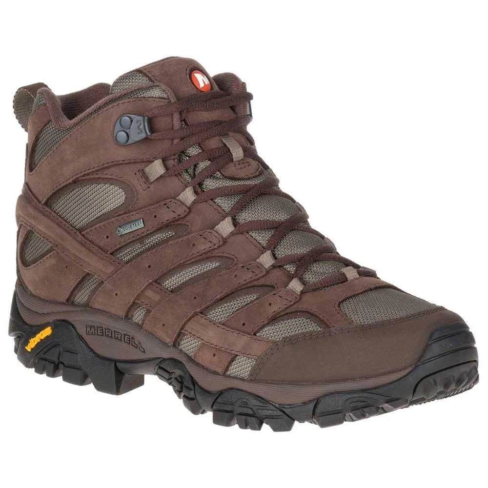 Moab 2 Smooth Mid Gore-Tex Hiking Shoes D573849