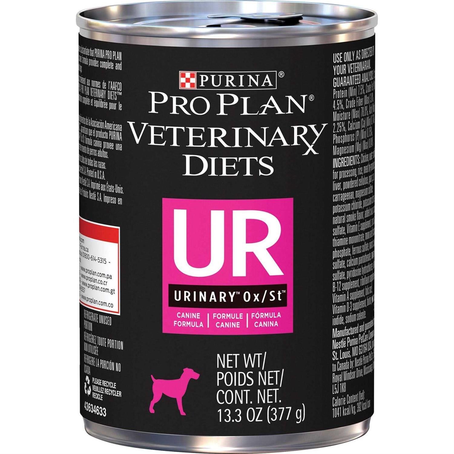 Wet Dog Food B87564