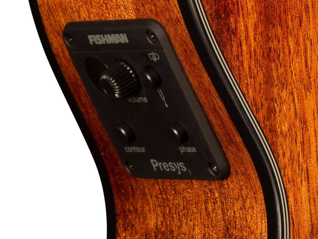 Acoustic/Electric Guitar O14529
