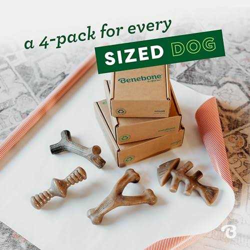 Holiday 4 Pack Dog Chew Toy F79873