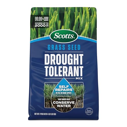 4 lb. Drought Tolerant Grass Seed Mix I6402
