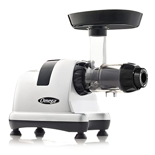 Silver Slow Masticating Juicer Y1211