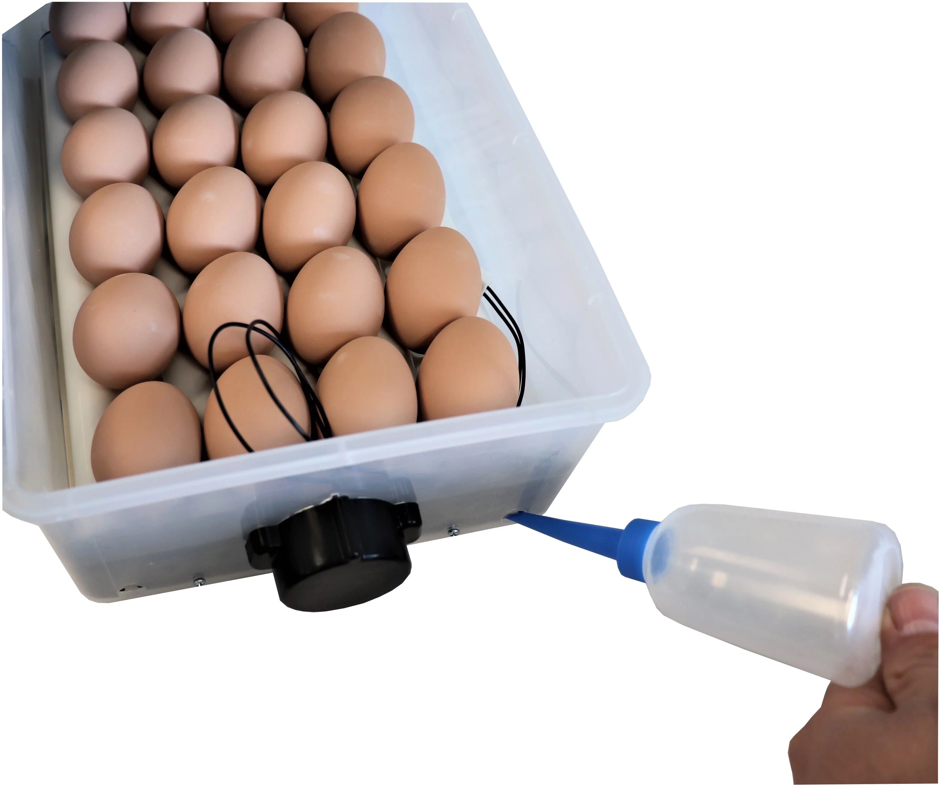 24 Chicken Egg Incubator & Hatcher Turner V298614