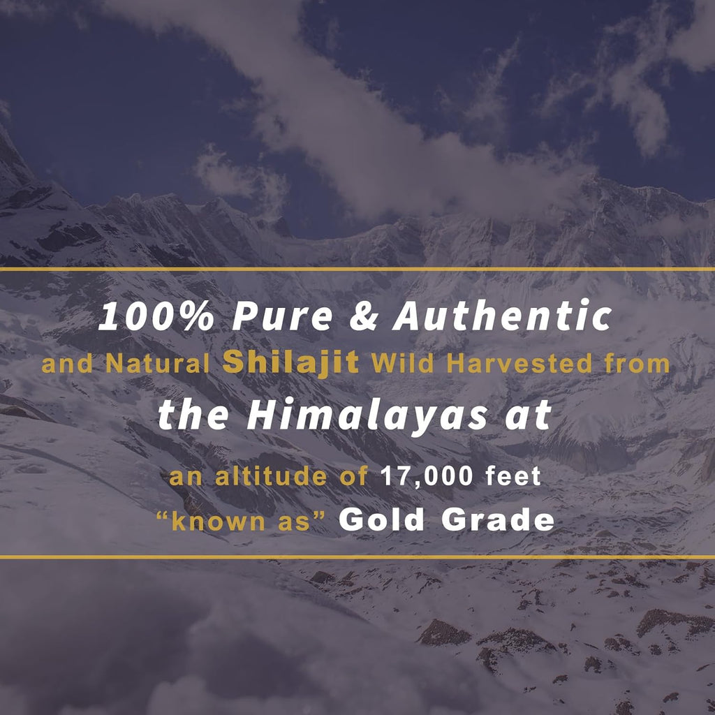 120 Shilajit Tablets, 1000mg each P100091