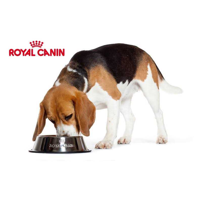 Yorkshire Terrier Adult Loaf In Sauce Dog Food L9776