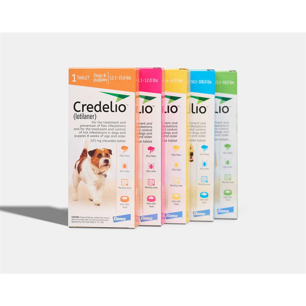 Chewable Tablet for Dogs Q905045