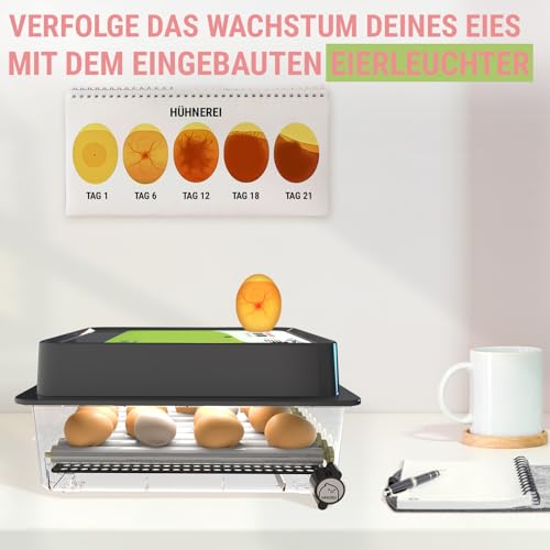 Egg Incubator with Automatic Egg Turner and Temperature Control W455596