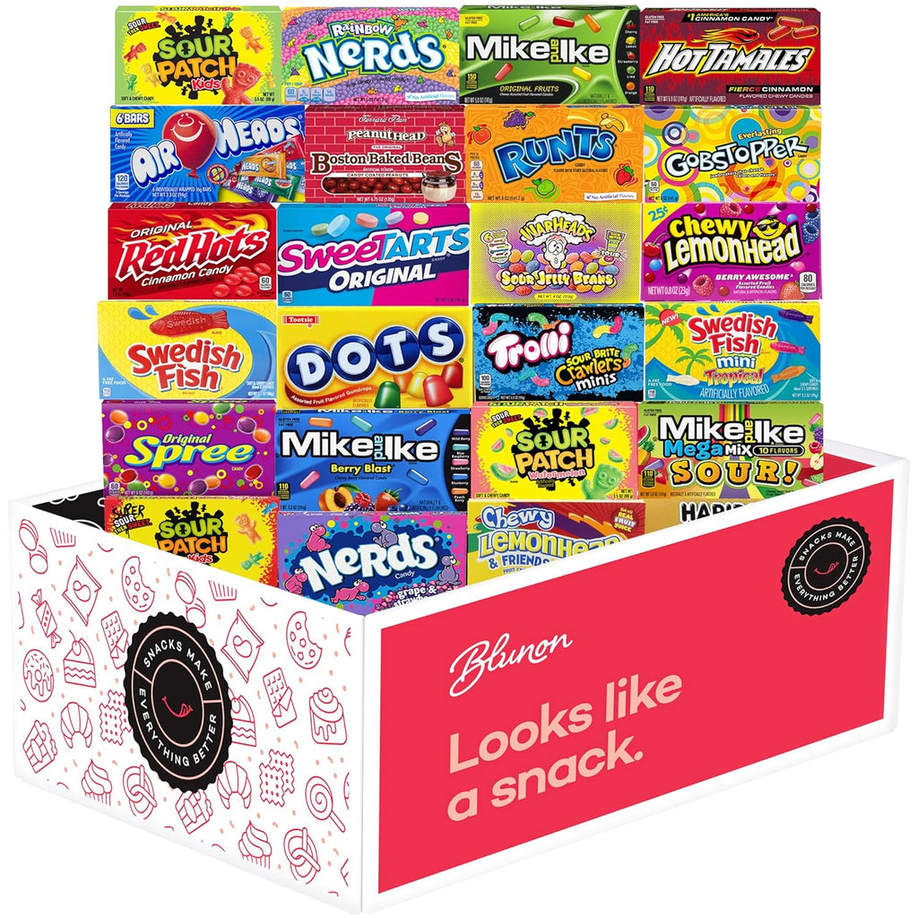 24 Large Theater Size Assorted Candy Variety Pack D4323