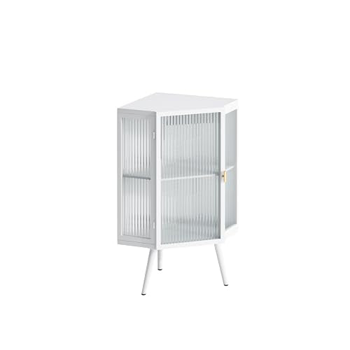 22.25" Glass Display Cabinet with Tempered Glass Door & Storage Shelves (2 Tier-Black) I74387