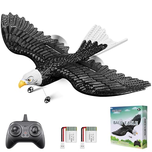 2 CH RC Plane Ready to Fly I7903