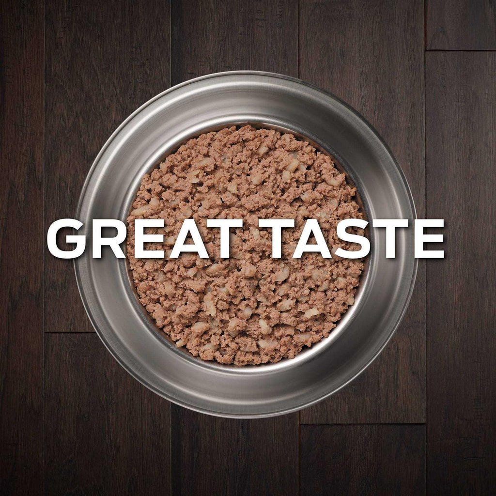 Wet Dog Food B87564