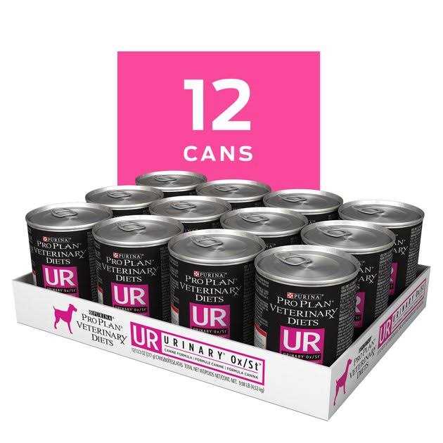 Wet Dog Food B87564