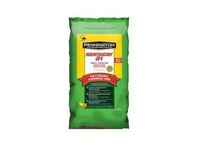 25 lb Tall Fescue Grass Seed Y411