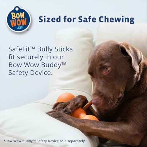 6" 100% Beef Bully Sticks - 10 Pack M20752