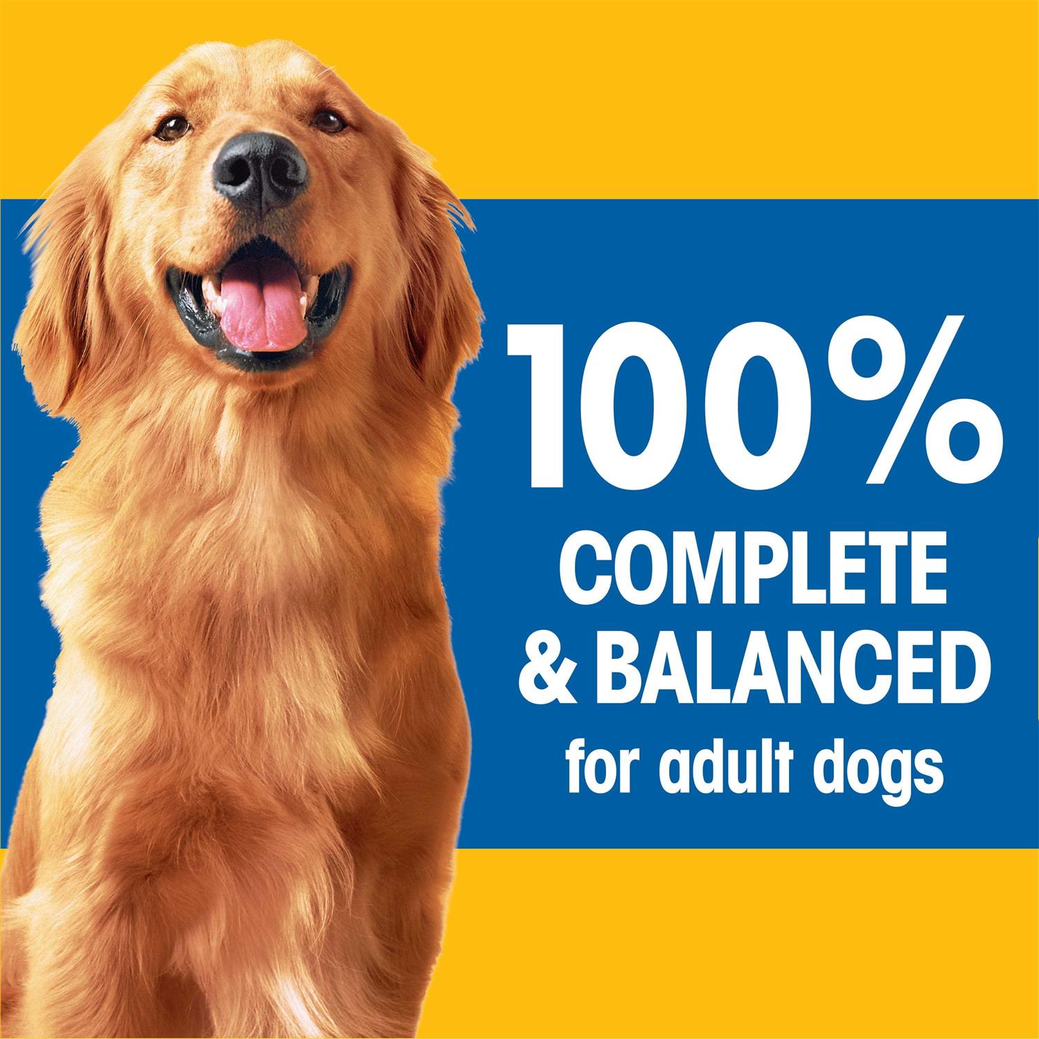 Adult Dry Dog Food S9391