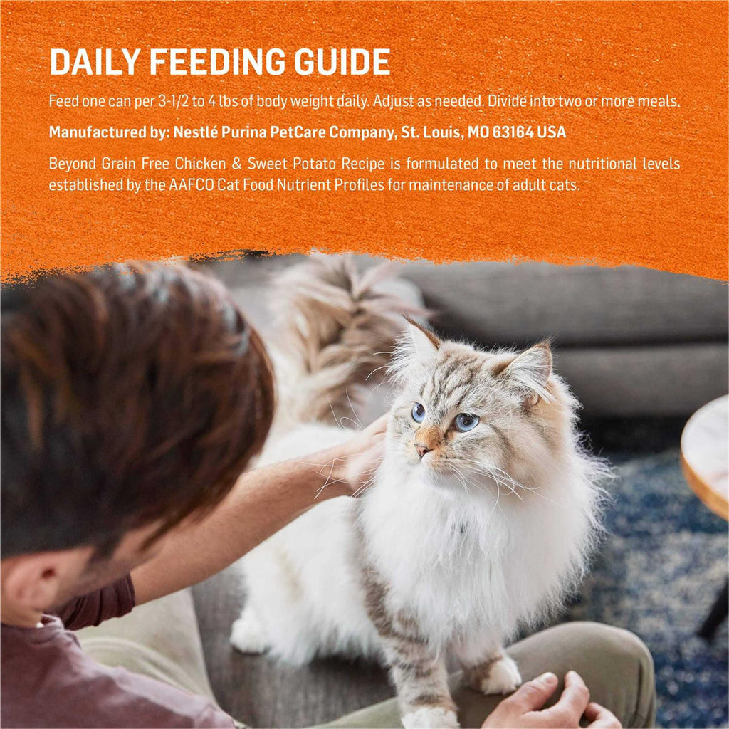 Grain-Free Wet Cat Food K504680